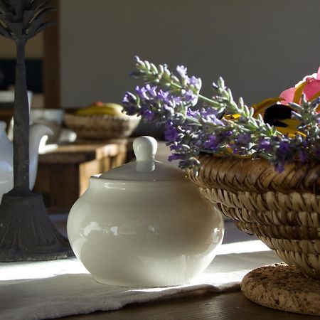 Le Renard D'Introd Bed & Breakfast エクステリア 写真